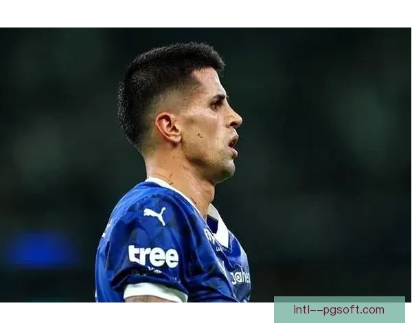 坎塞洛正式离开球队转会至新俱乐部开启职业生涯新篇章